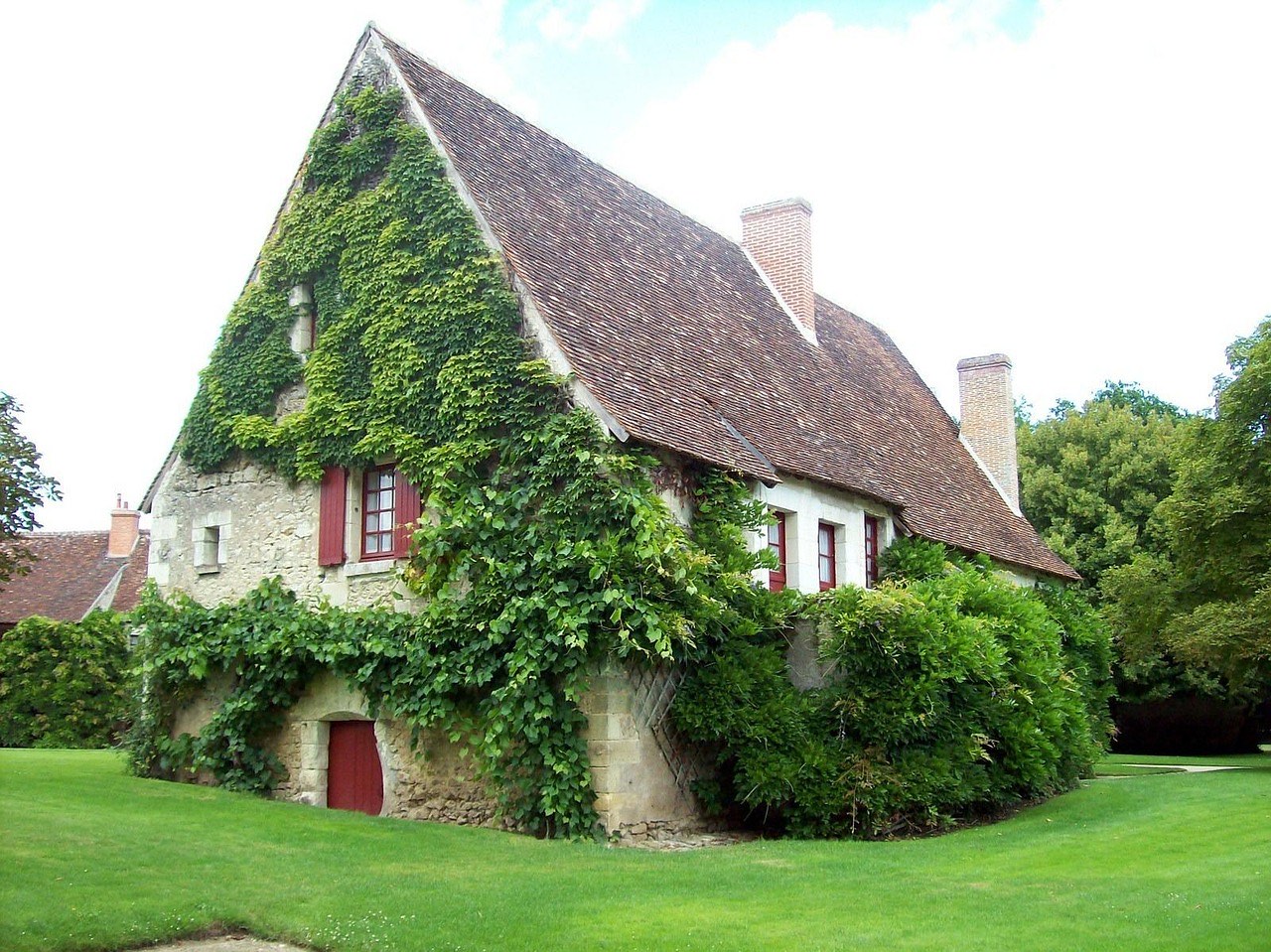 Maison couverte de vigne vierge et jardin