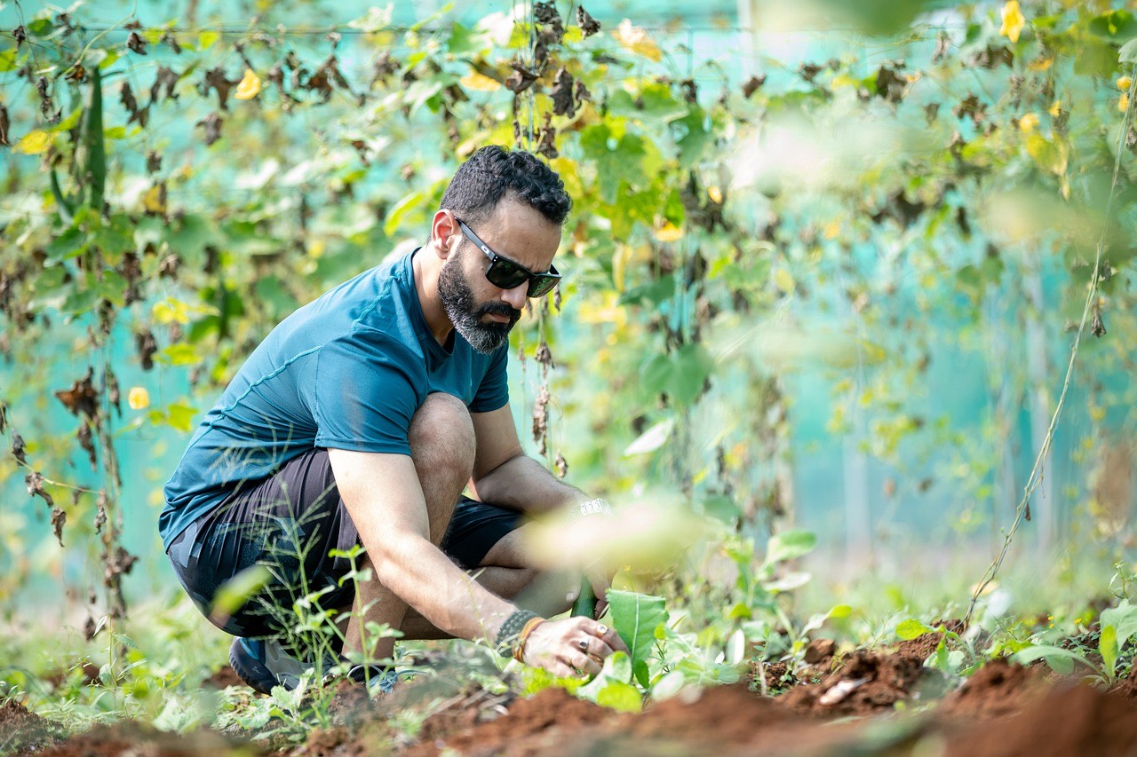 Thomas en train de planter des légumes